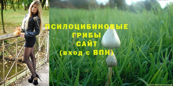 стафф Алзамай