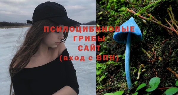 прущая мука Абаза