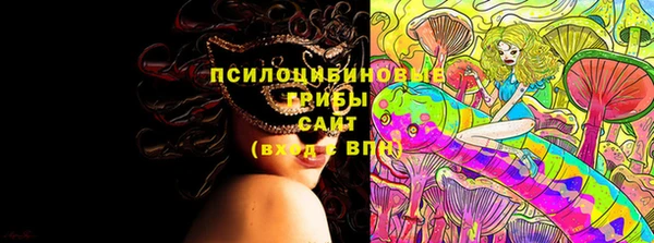 СК Абинск