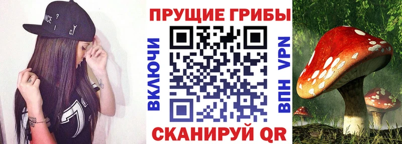 Галлюциногенные грибы мицелий  наркота  Дальнереченск 