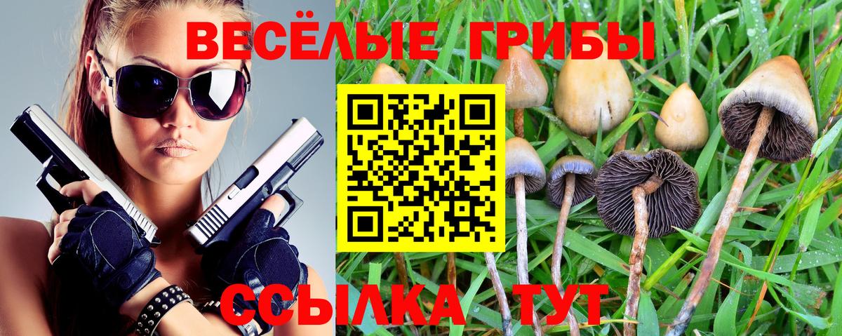 Галлюциногенные грибы Cubensis Дальнереченск