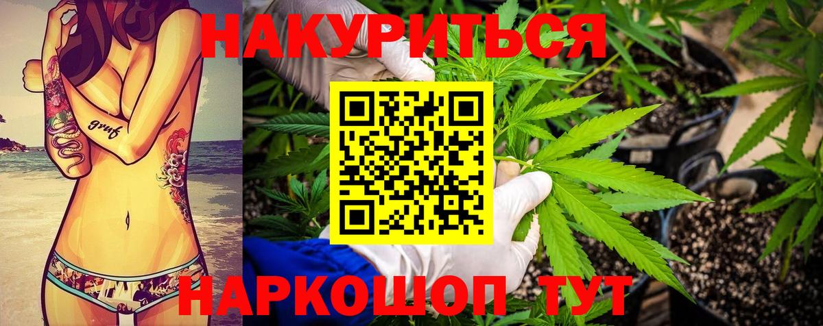 Бошки Шишки сатива  Марихуана ГИДРОПОН  Дальнереченск  Вход с VPN  Бошки марихуана OG Kush  Каннабис план 